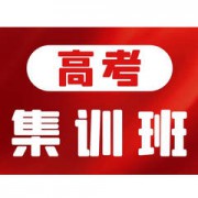 郑州高考集训学校